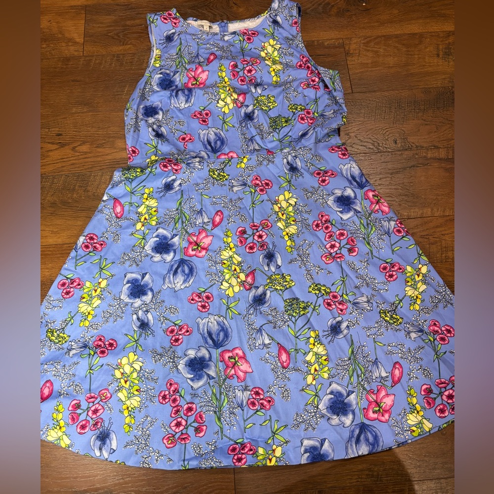 Talbots Lavender blue Floral Sleeveless Dress spring summer 16